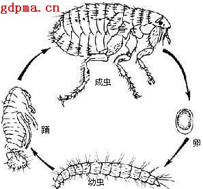 k豆钱包